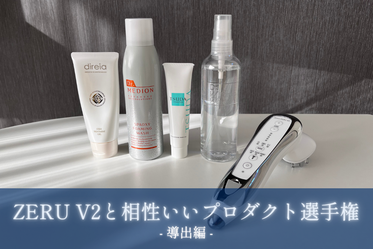 肌ガンギマリ】ゼルV2と相性いいプロダクト選手権【導出編】 - FinalA